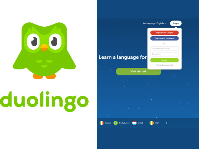 duolingo sign in english