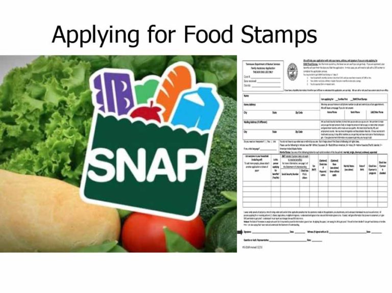 application for food stamps
