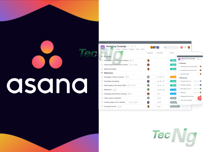 Asana - How to Use Asana | Asana Review