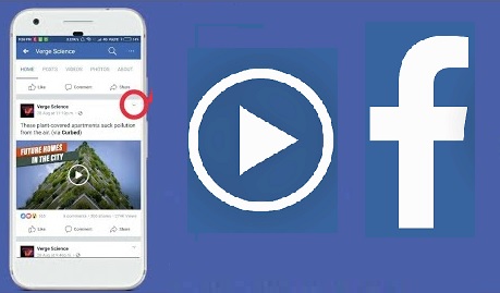 facebook video online download