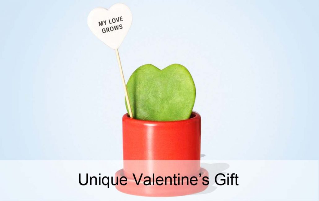 Unique Valentine’s Gift - Unique Valentine’s Gift for your Partner