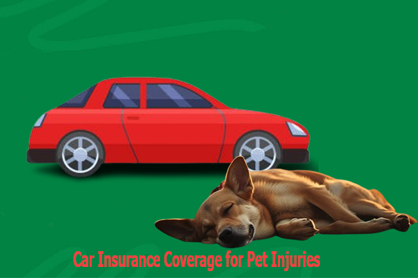 Car Insurance Coverage for Pet Injuries