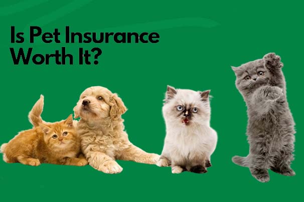 Is Pet Insurance Worth It