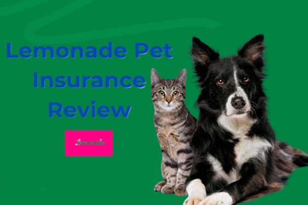 Lemonade Pet Insurance