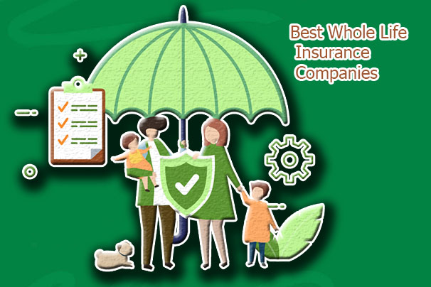 Best Whole Life Insurance Companies