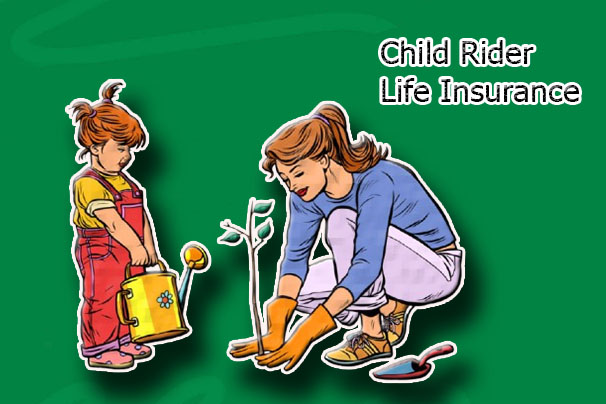 Child Rider Life Insurance - What it is and How it Works