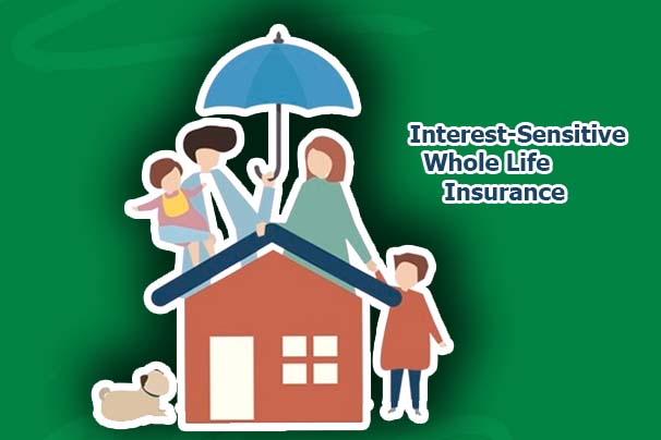 What Is Interest-Sensitive Whole Life Insurance