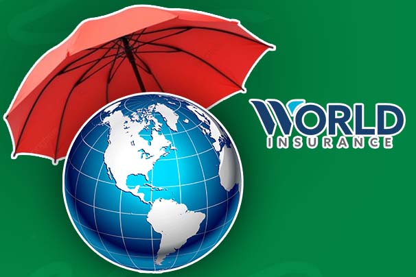 What Is World Insurance and How Does it Work