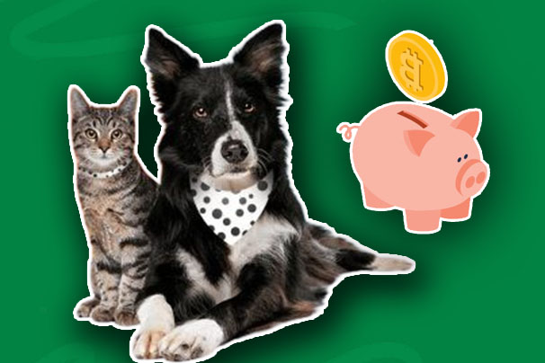 How to Save Money on Pet Insurance