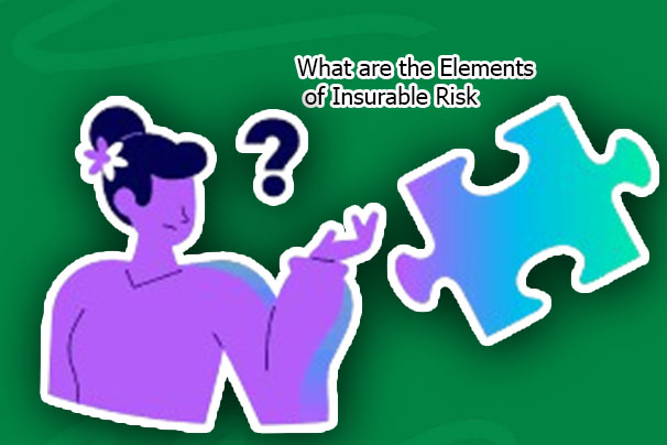 What are the Elements of Insurable Risk