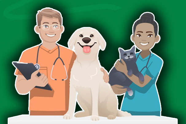 Do All Vets Accept Pet Insurance