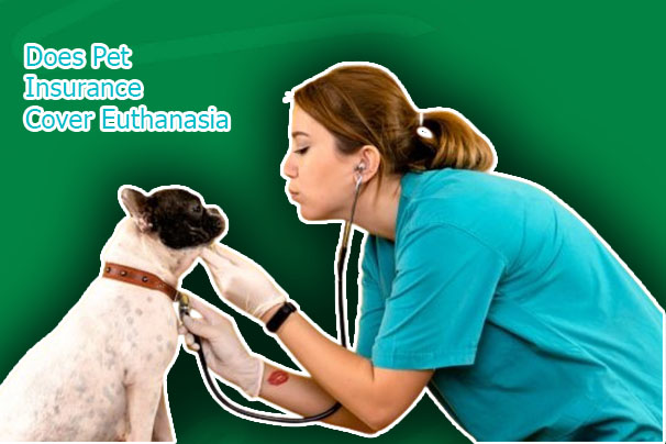 Does Pet Insurance Cover Euthanasia