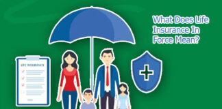 What Does Life Insurance In Force Mean