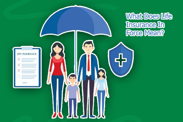 What Does Life Insurance In Force Mean