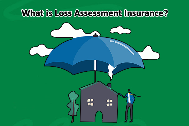 What is loss assessment insurance?