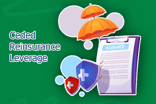 Ceded Reinsurance Leverage