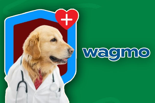 Wagmo Pet Insurance - What You Should Know