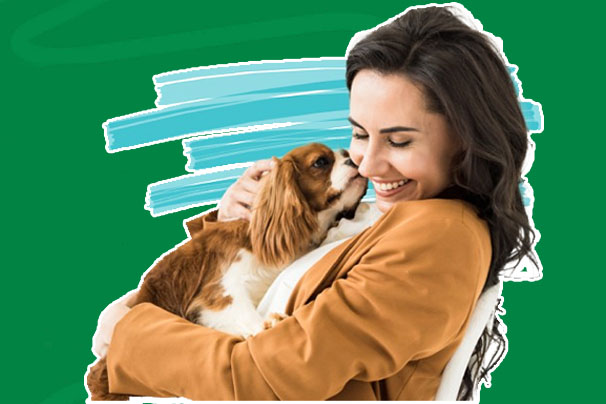 What to Look for in a Pet Insurance Company