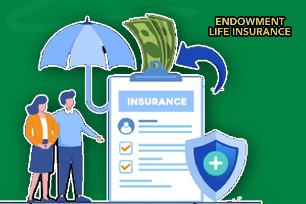 What Is Endowment Life Insurance